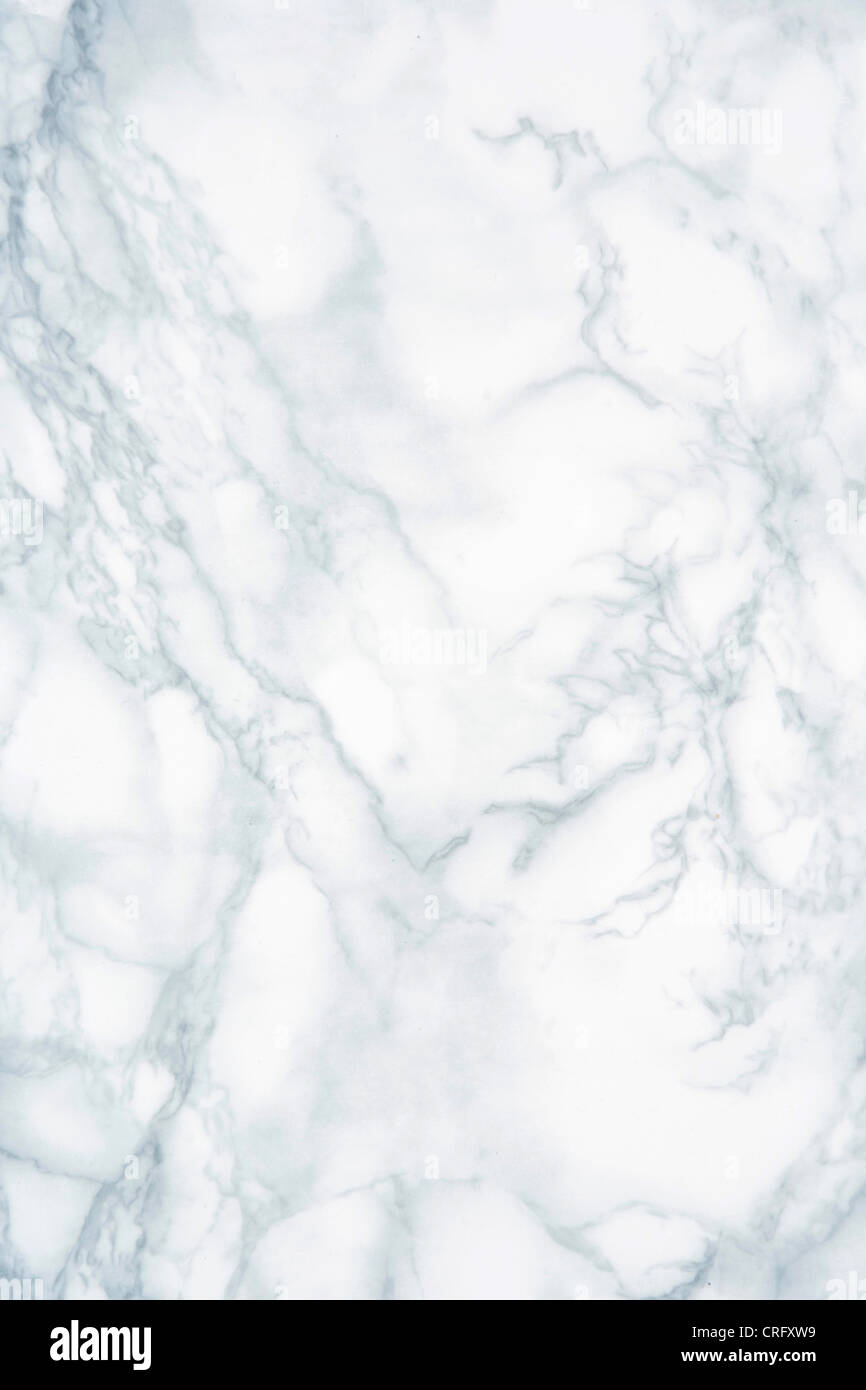 graue Porträt Hintergrund Stockfoto