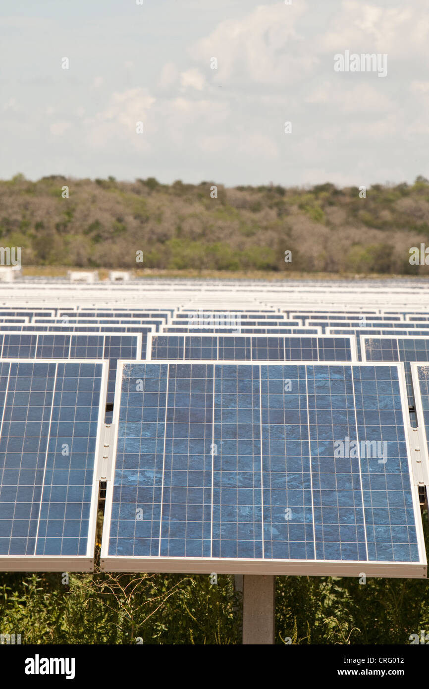 Austin Texas: Solarpaneele in einem 380 Hektar großen Werk können jährlich 50.000 MWH emissionsfreien Strom erzeugen. ©Marjorie Kamys Cotera/Daemmrich Photos Stockfoto