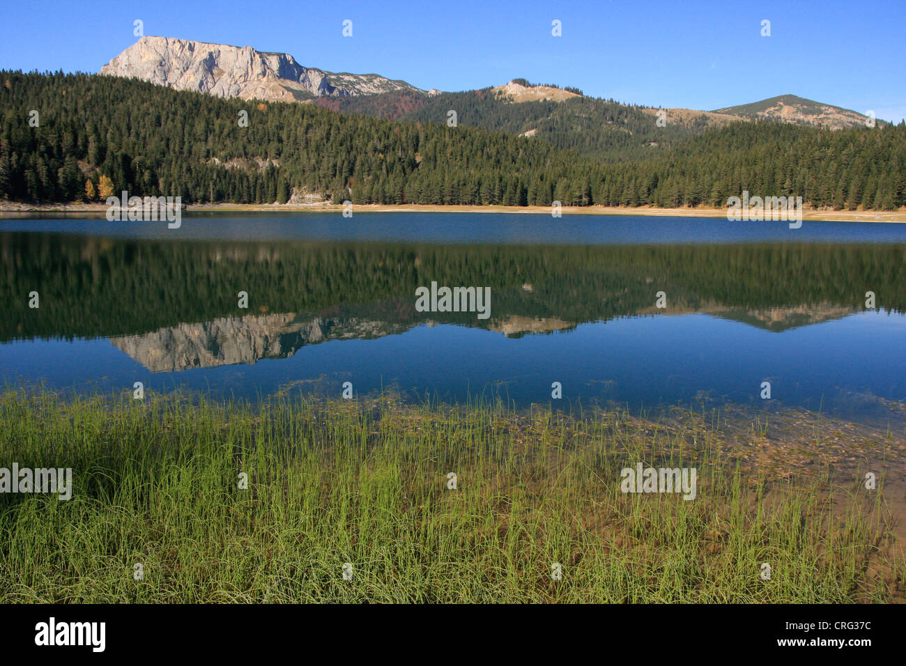 Schwarzer See, Durmitor National Park, Montenegro Stockfoto