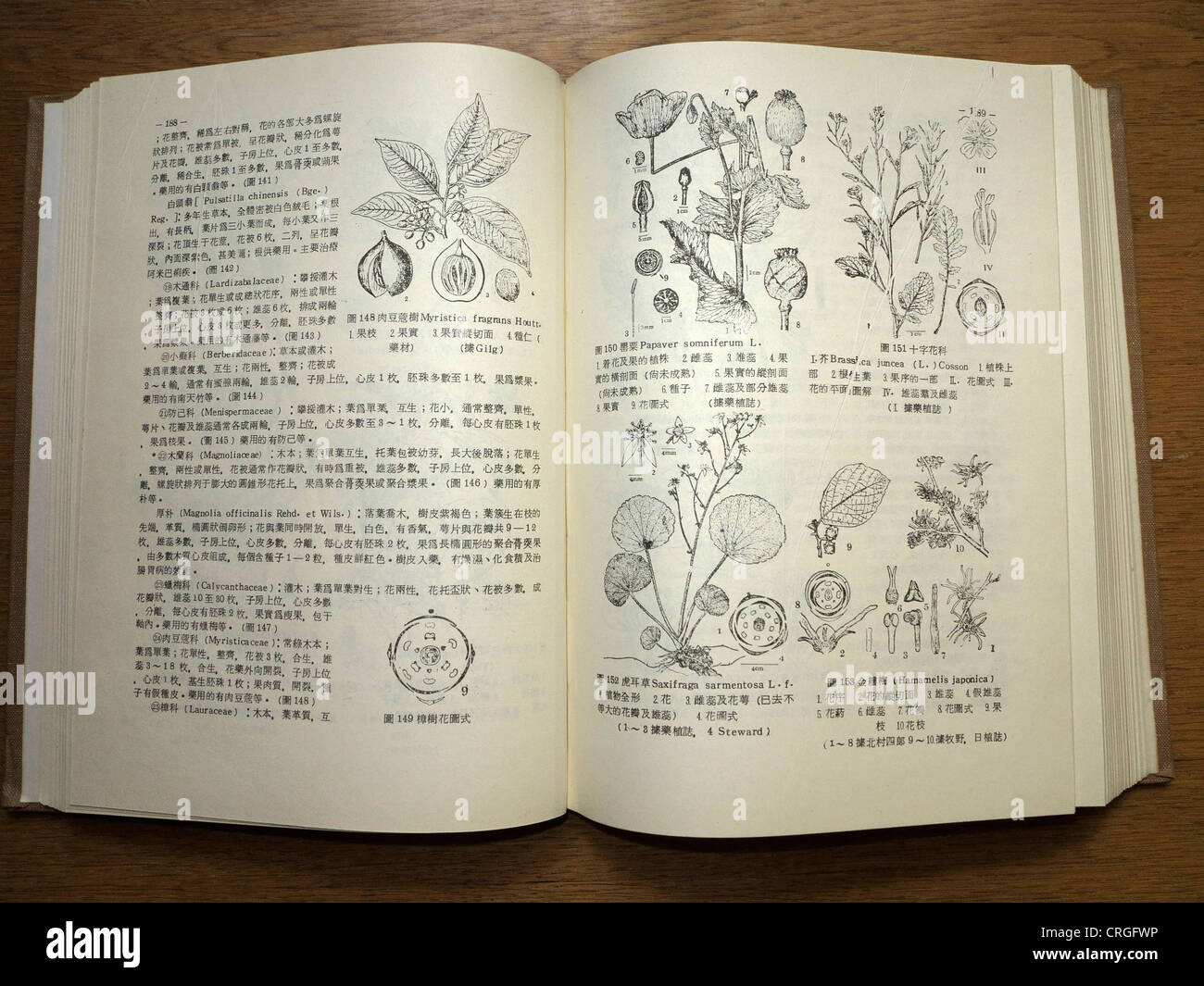 Chinesische Kompendium von Materia Medica Stockfoto