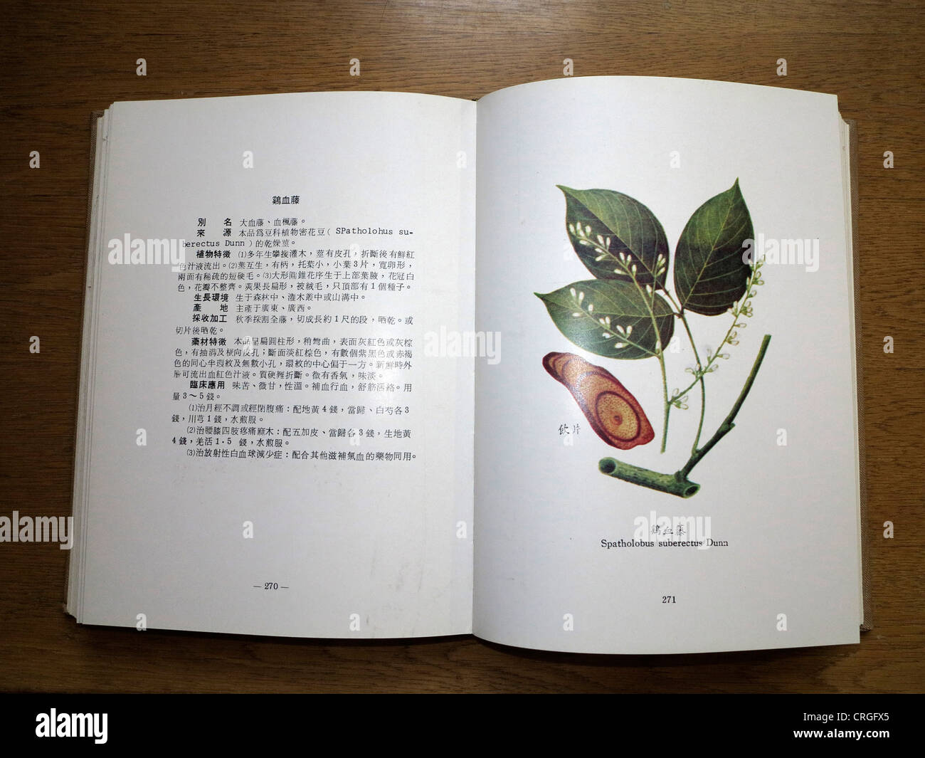Chinesische Kompendium von Materia Medica Spatholobus Suberectus Dunn Stockfoto