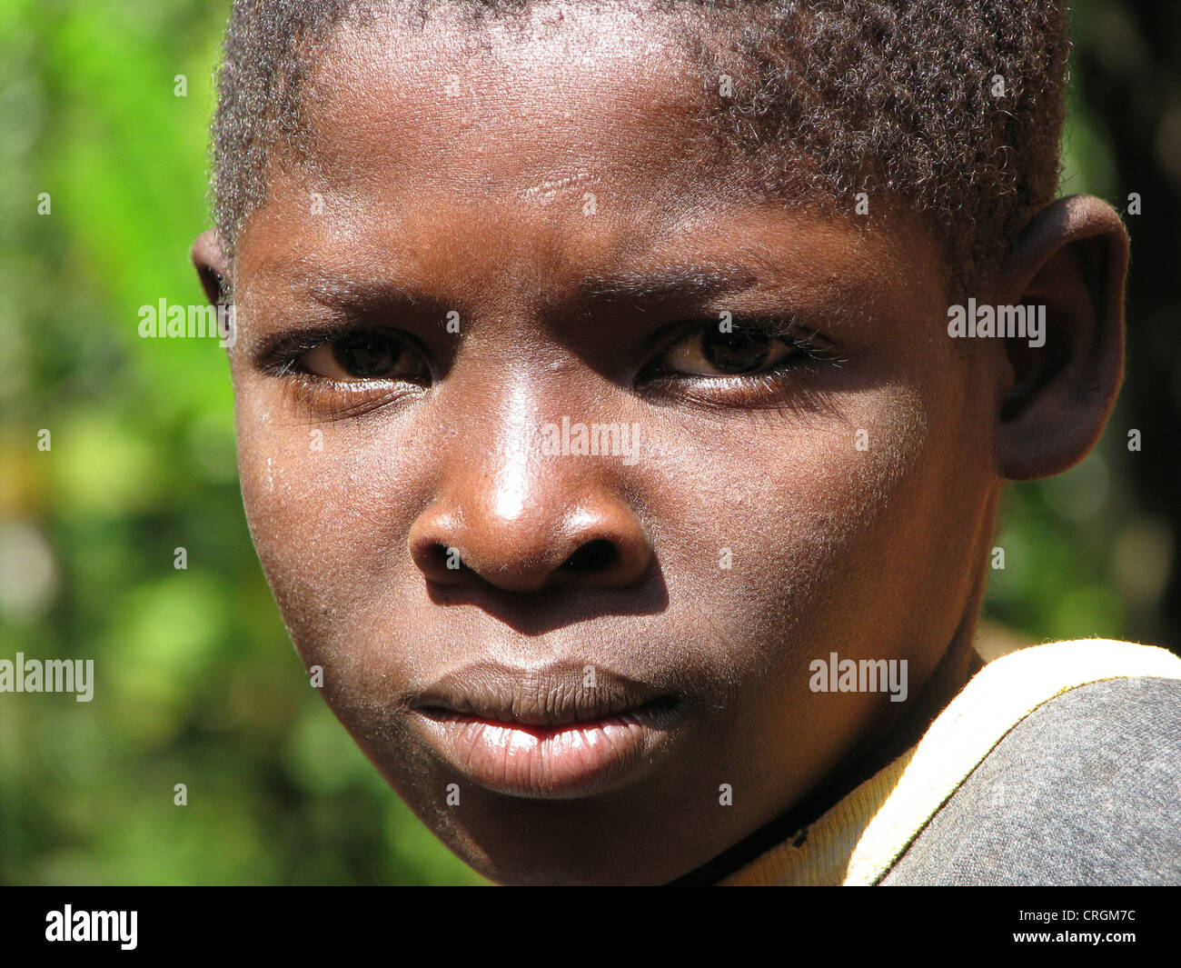 Portrait eines kleinen Jungen im ländlichen Raum, Blick in die Kamera mit einem schüchternen Verhalten, Haiti, Grande Anse, Jeremie Stockfoto