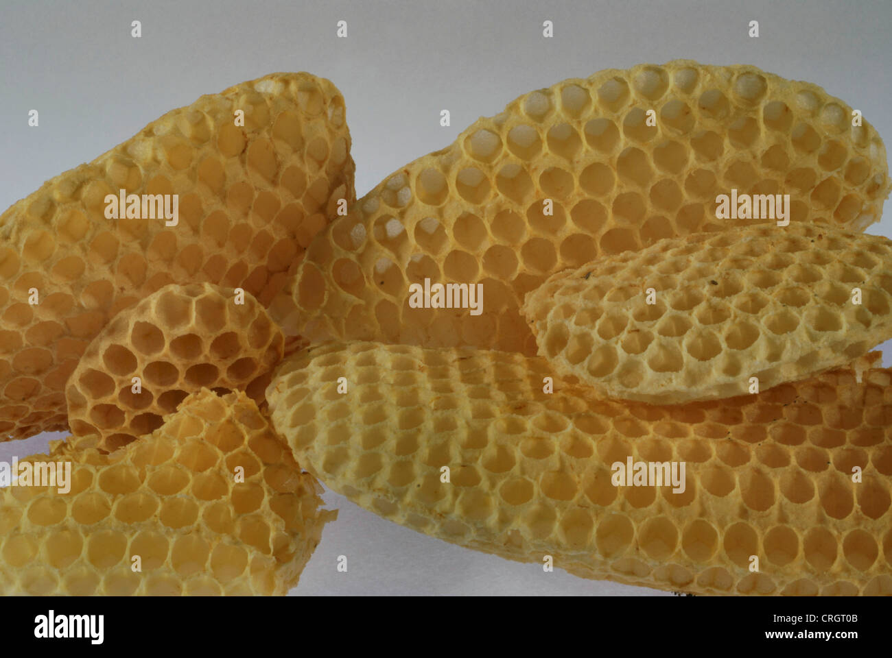 Honigbiene, Bienenkorb Biene (Apis Mellifera Mellifera), Waben Stockfoto