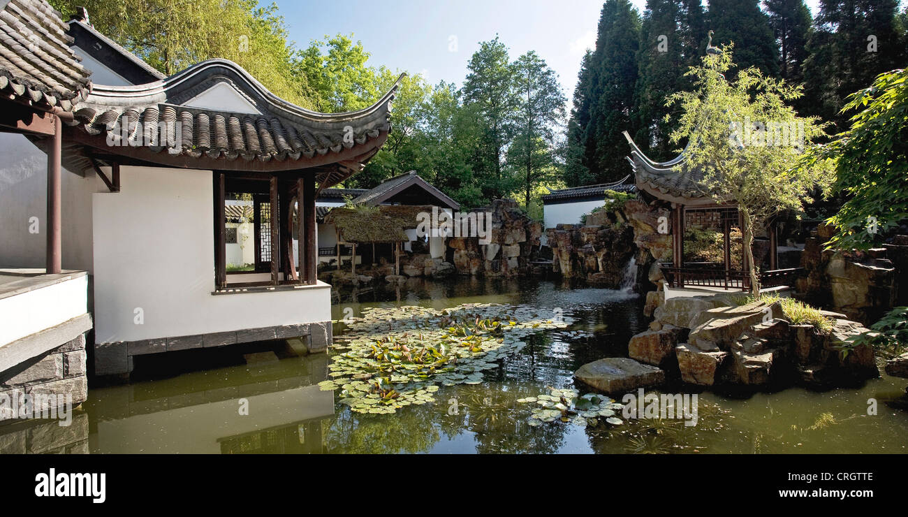 Chinesischer Garten Qian Yuan im Botanischen Garten Bochum, Deutschland, Nordrhein-Westfalen, Ruhrgebiet, Bochum Stockfoto