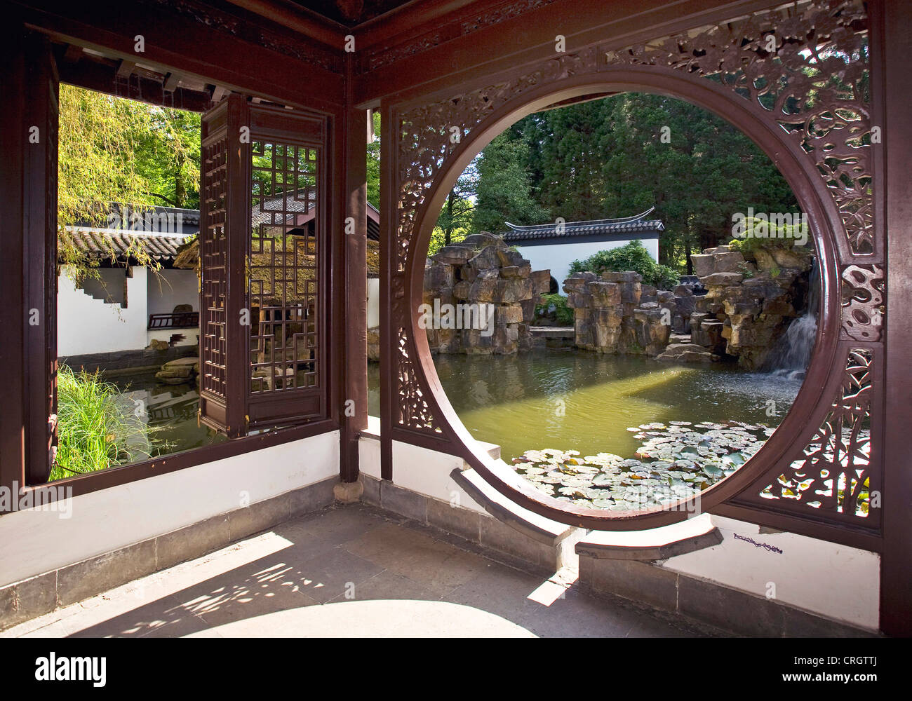 Chinesischer Garten Qian Yuan im Botanischen Garten Bochum, Deutschland, Nordrhein-Westfalen, Ruhrgebiet, Bochum Stockfoto