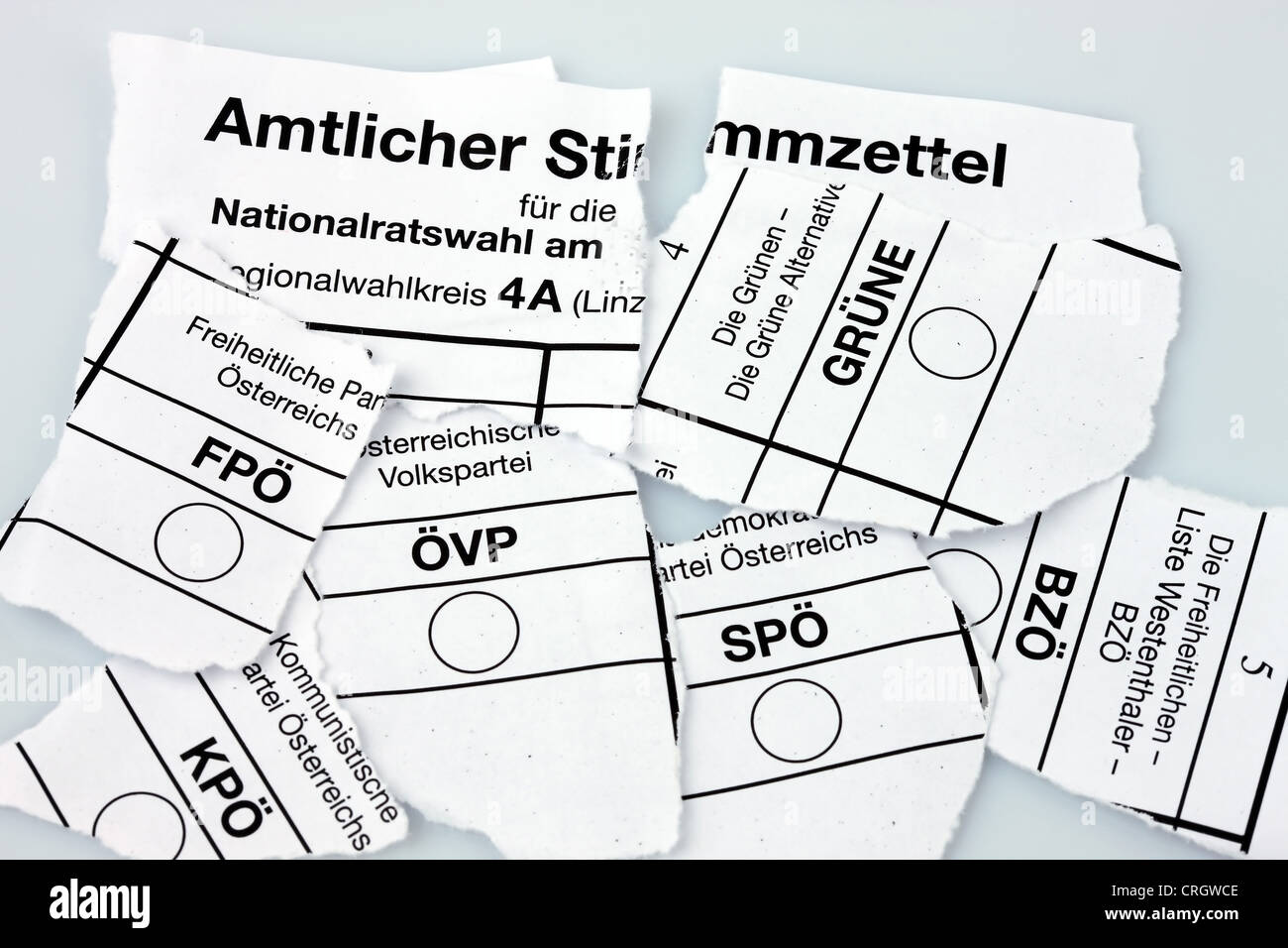 symbolisches Bild für Politikverdrossenheit: seziert österreichische Stimmzettel, Österreich Stockfoto