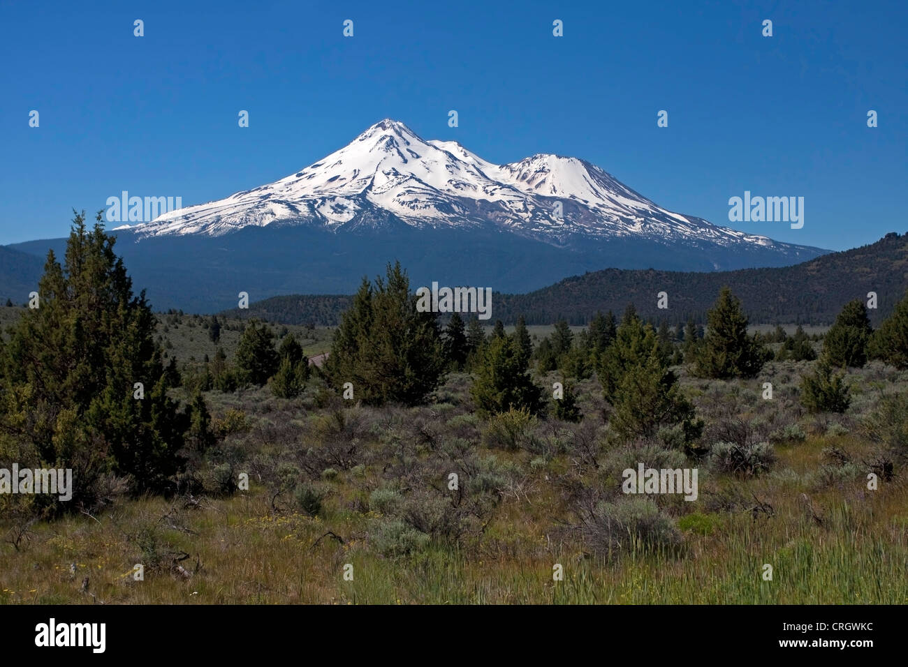 Schönen Blick auf Mount Shasta (oder am weißen Berg) Siskiyou County, Kalifornien, USA im Juni Stockfoto