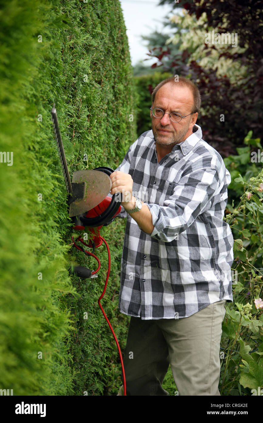 Thuja spec Stockfotos und bilder Kaufen Alamy