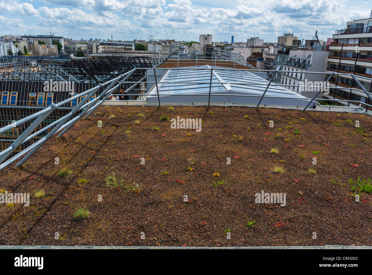 Paris, Frankreich, Dachbegrünung, neue grüne Bürogebäude, 'One Green - ZAC Pajol' Projekt Stockfoto