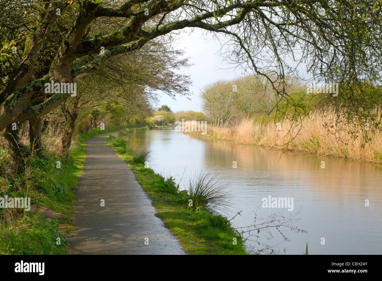 Bude Kanal; Wanderweg; Cornwall; UK Stockfoto