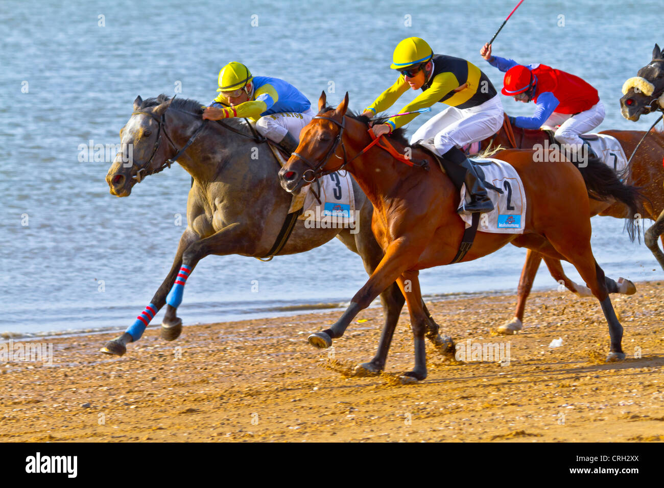 Nicht identifizierte Fahrer Rennpferde am Strand von Sanlúcar de Barrameda Stockfoto