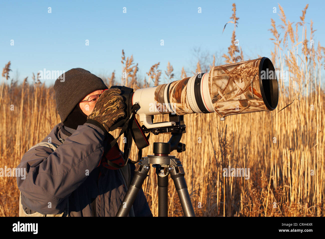 Naturfotograf Wildtiere schießen mit einem super-Teleobjektiv. Stockfoto