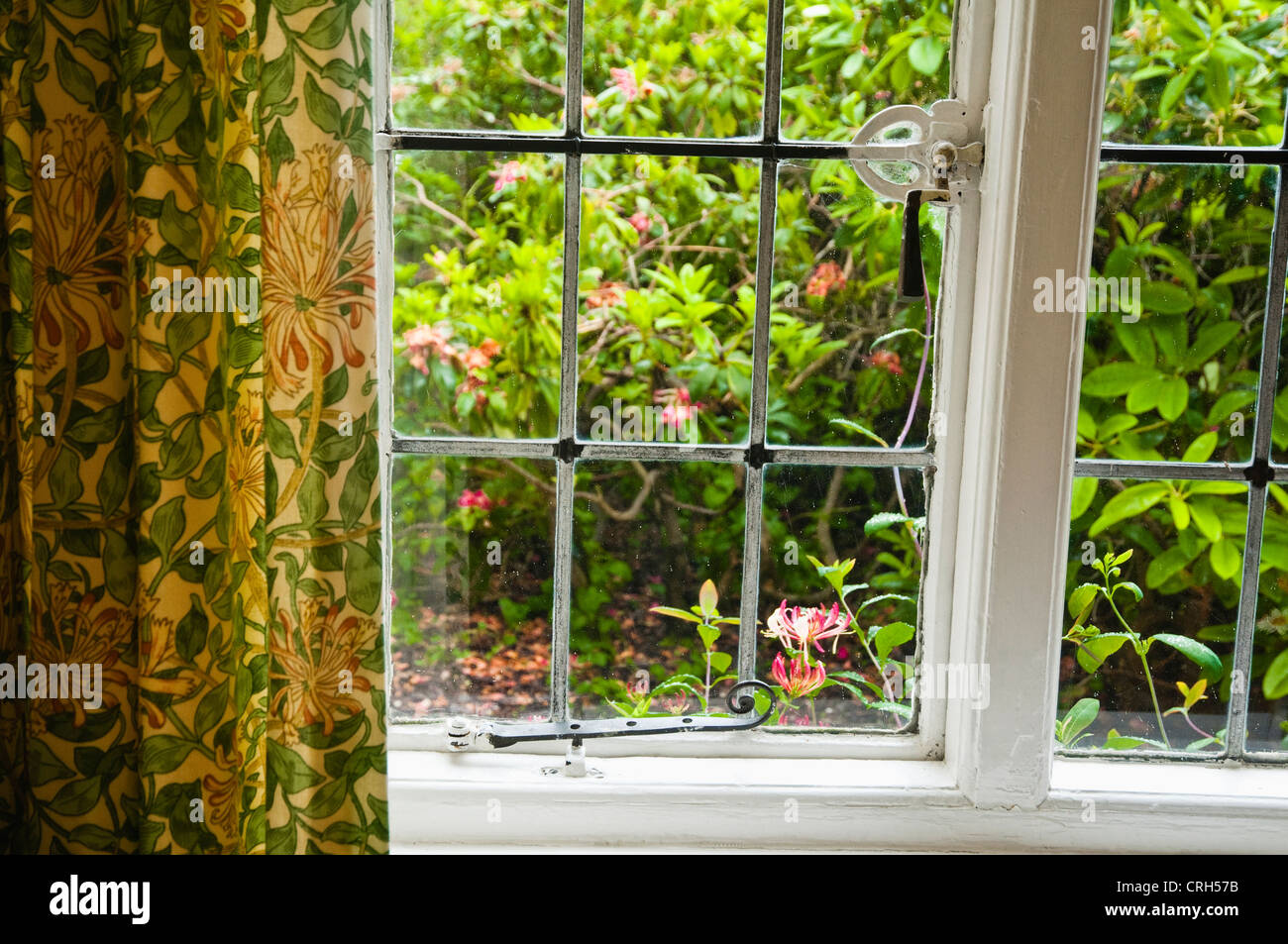 William Morris Geißblatt an einem traditionellen verbleiten Fenster Vorhänge. Im Außenbereich ist ein Geißblatt ähnlich wie die Design-Motiv. UK Stockfoto