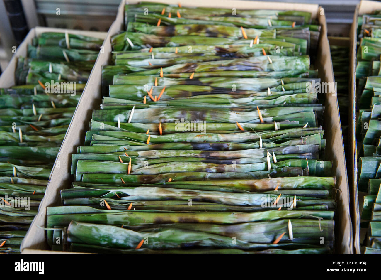Würzige Otah Lebensmittel eingewickelt in Bananenblätter für Distribution, Singapur bereit. Stockfoto