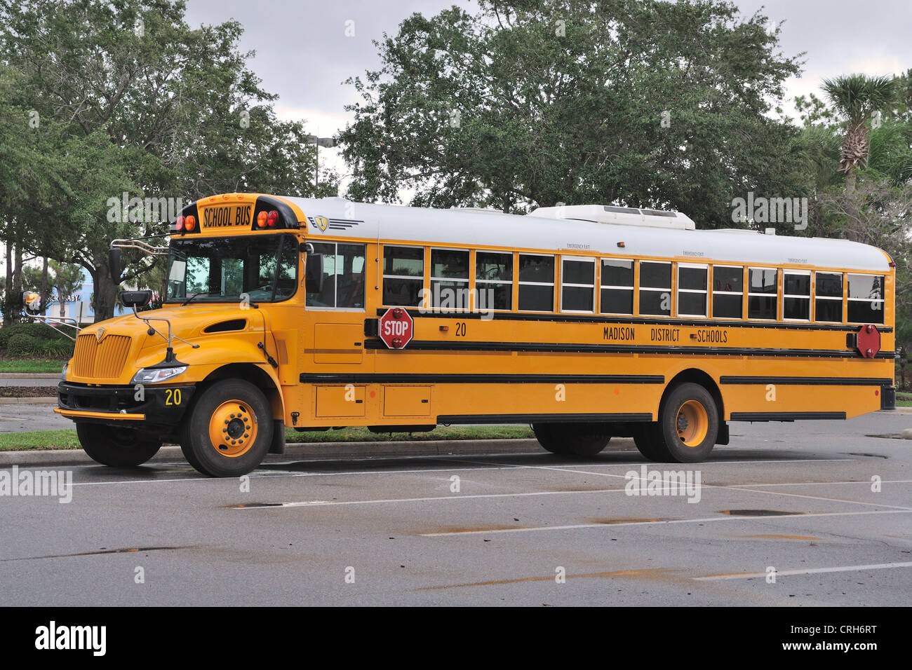 Madison District, IC Corporation, gelber Schulbus in Florida, USA Stockfoto