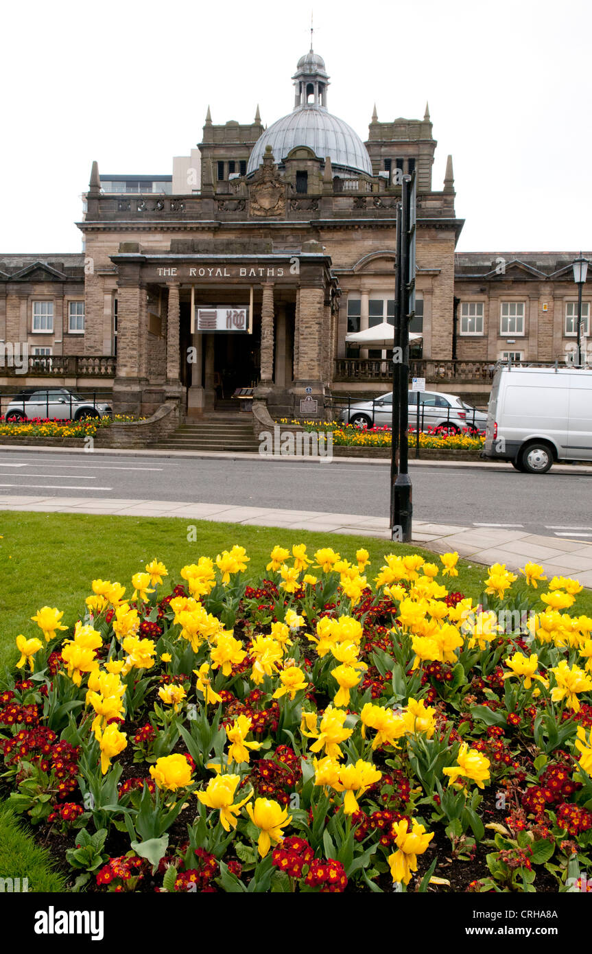 Blumenbeete in Harrogate Stockfoto