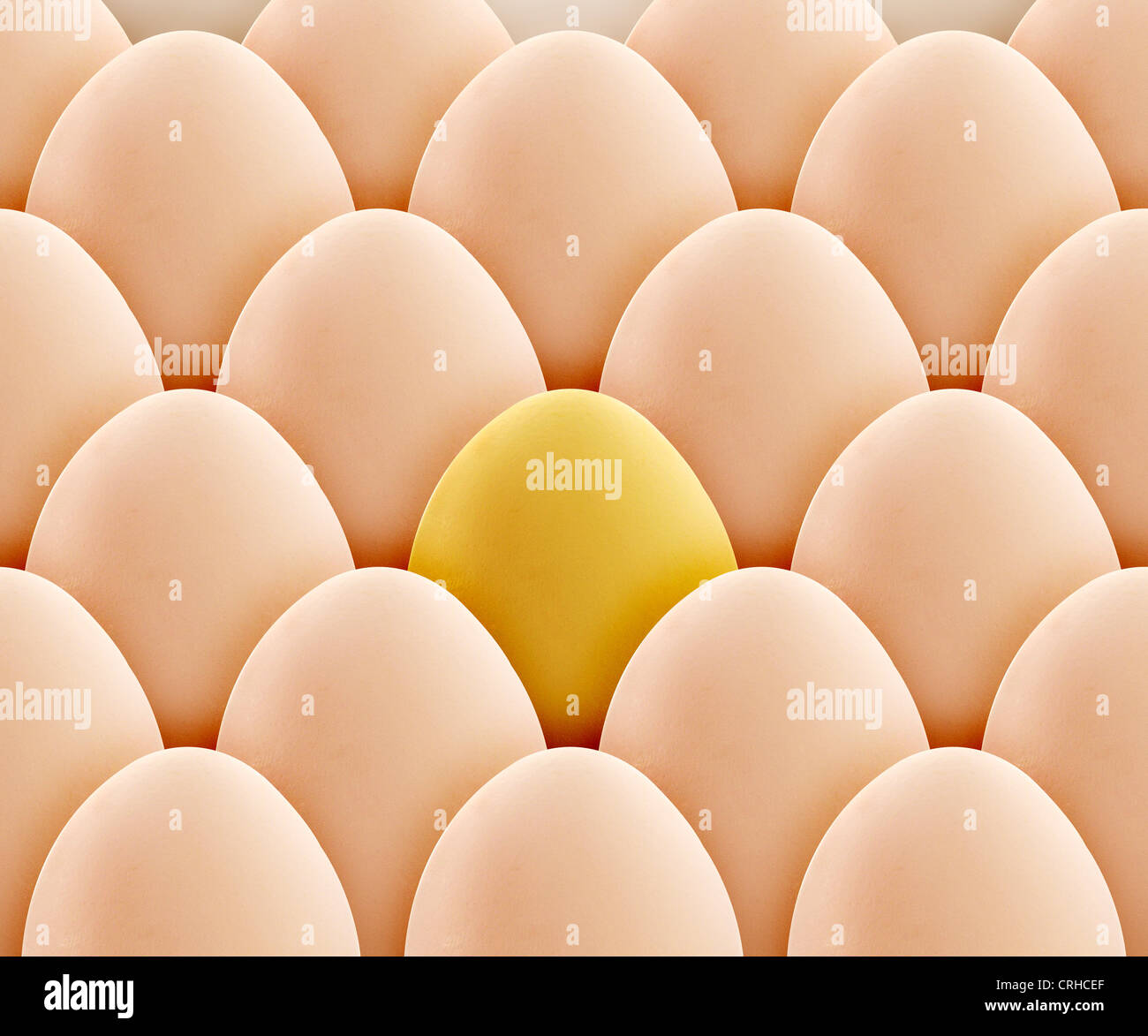 einzigartige goldene Ei zwischen den Eiern. Stockfoto