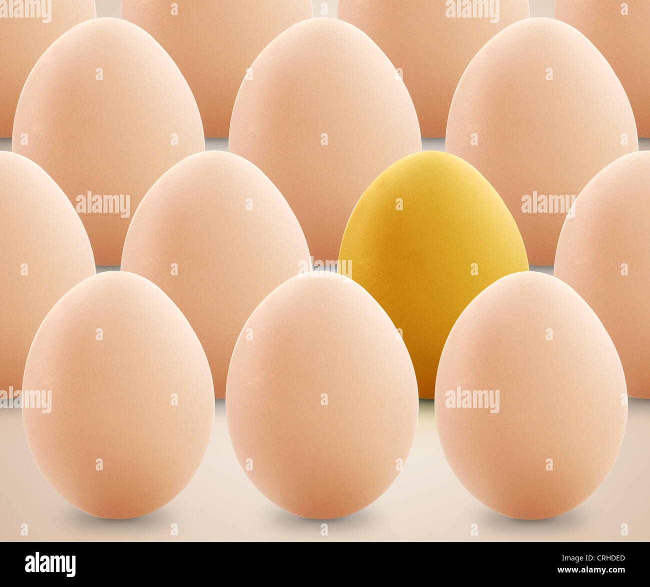 einzigartige goldene Ei zwischen den Eiern. Stockfoto