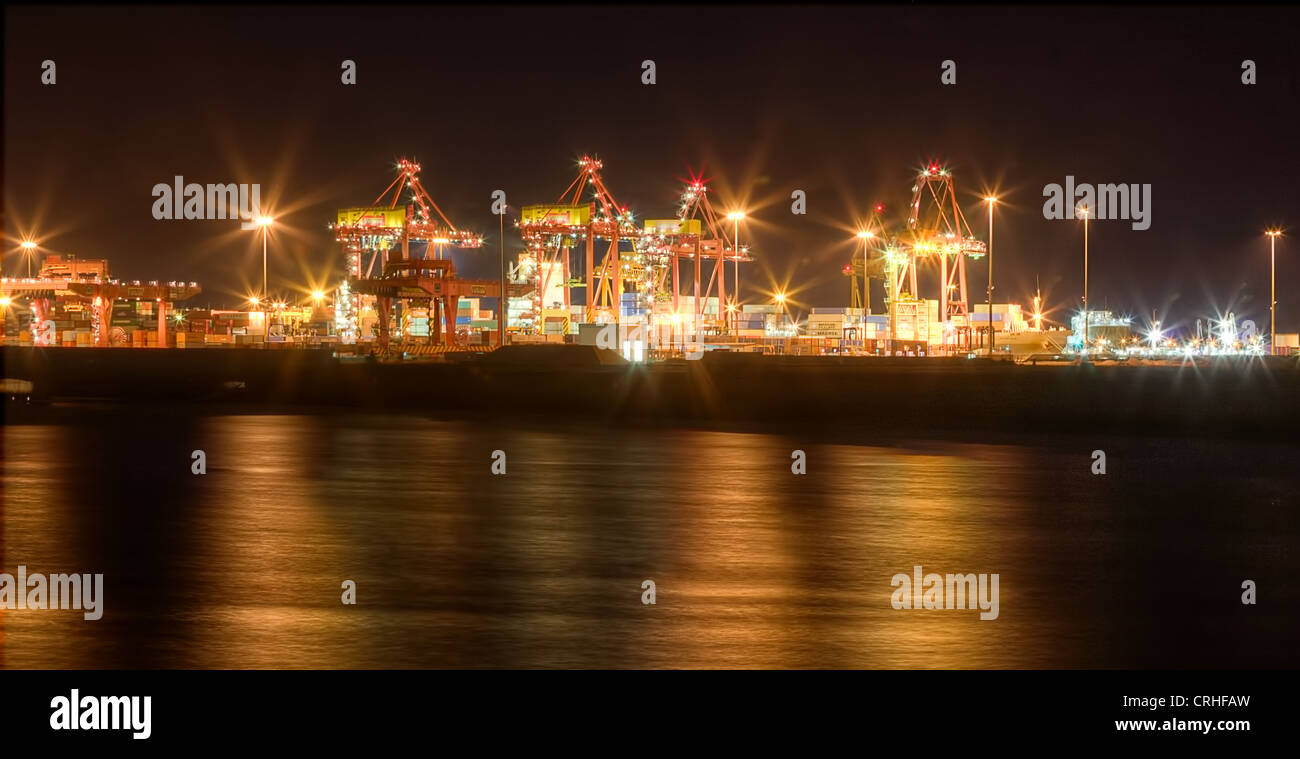 Botanik-Hafen bei Nacht Stockfoto