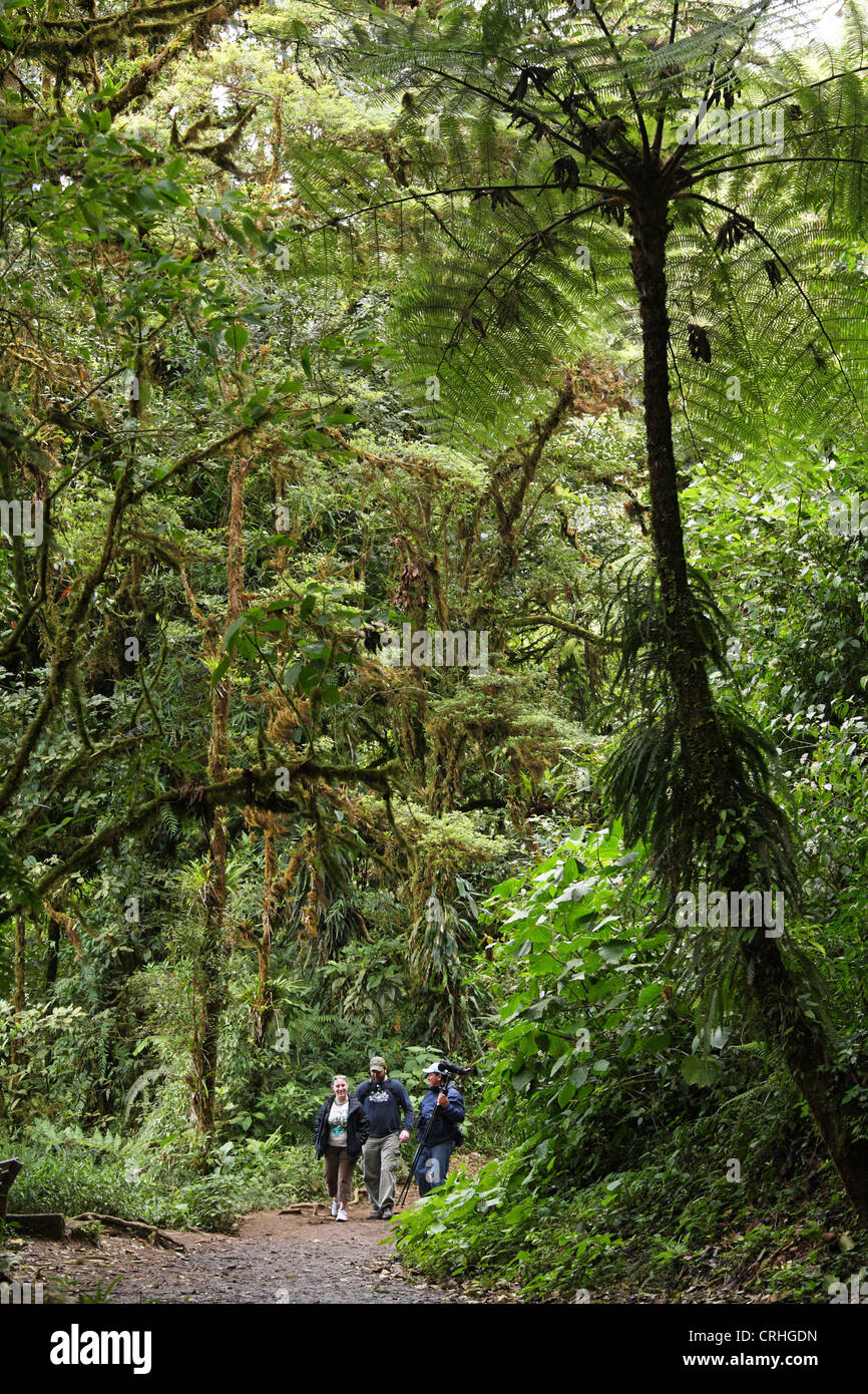 Wanderer mit Guide in Monteverde Cloud Forest Preserve, Costa Rica. Januar 2012. Stockfoto
