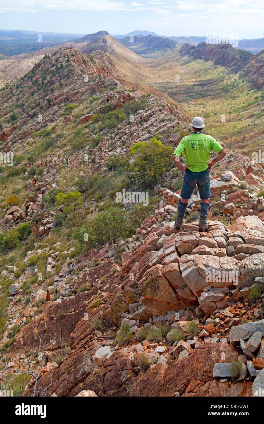 Blick entlang der West MacDonnell Ranges, Mt Sonder von Zählungen an der Larapinta Trail Stockfoto