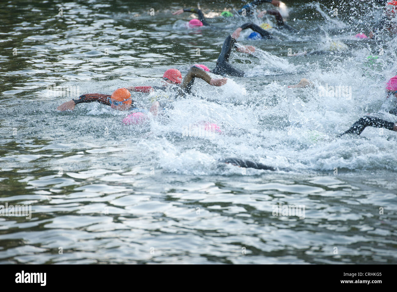 Freiwasser schwimmen, männliche und weibliche Konkurrenz zu Beginn einen Triathlon in Süßwasser tragen Wetsuits Crawl sprinten Stockfoto