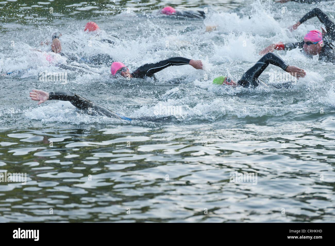 Freiwasser schwimmen, männliche und weibliche Konkurrenz zu Beginn einen Triathlon in Süßwasser tragen Wetsuits Crawl sprinten Stockfoto