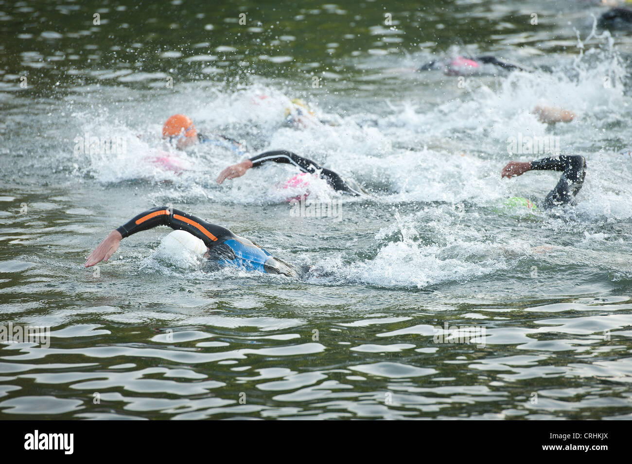 Freiwasser schwimmen, männliche und weibliche Konkurrenz zu Beginn einen Triathlon in Süßwasser tragen Wetsuits Crawl sprinten Stockfoto