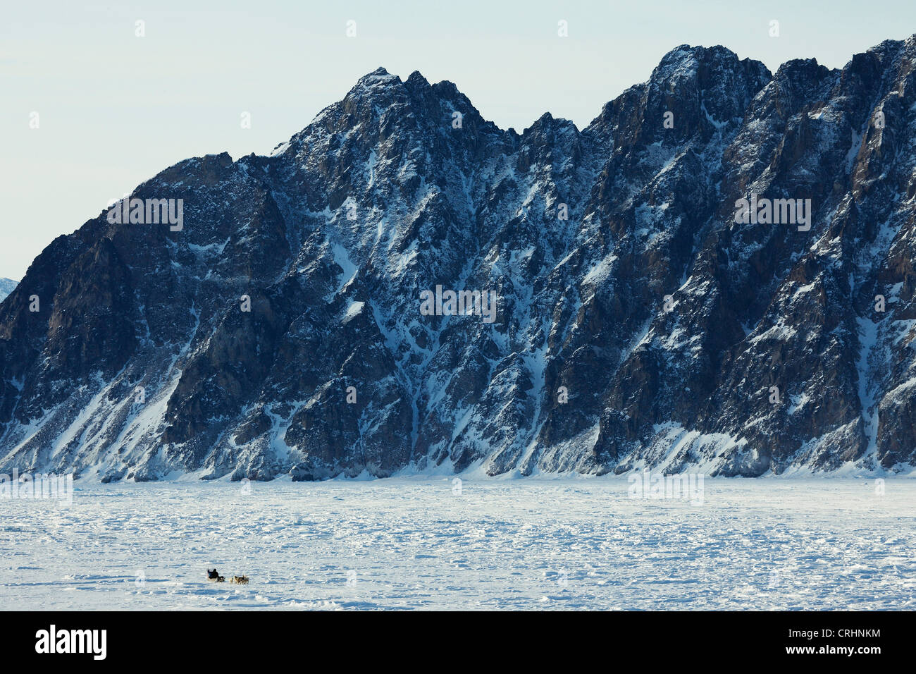 Grönlandhund (Canis Lupus F. Familiaris), Inuit mit Hundeschlitten auf Schnee bedeckt Ebene vor imposanten Bergkette, Grönland, Ostgroenland, Tunu, Kalaallit Nunaat, Liverpool Land Kap Hoegh Stockfoto