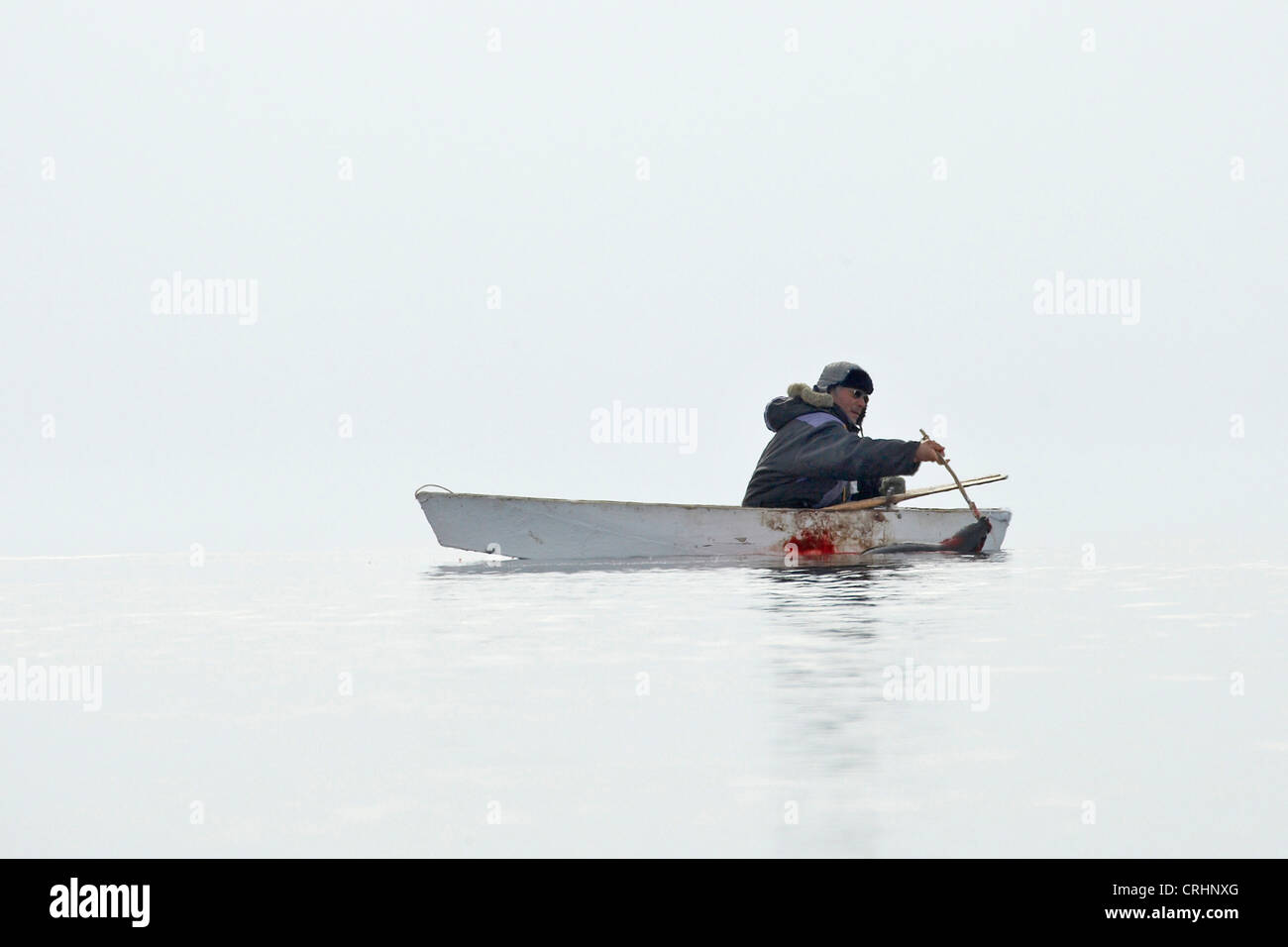 Inuit-Sealer immer ein Siegel in seinem Ruderboot, Grönland, Ostgroenland, Tunu, Kalaallit Nunaat, Scoresbysund, Kangertittivag, Kap Tobin, Ittoqqortoormiit gejagt Stockfoto
