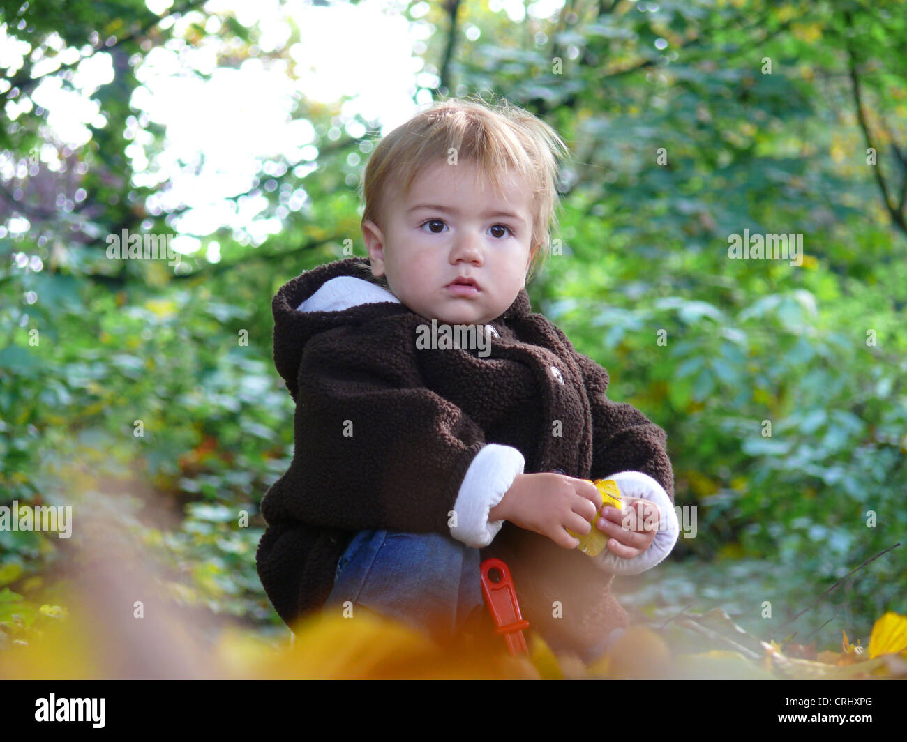 kleiner Junge spielt mit Herbstlaub Stockfoto