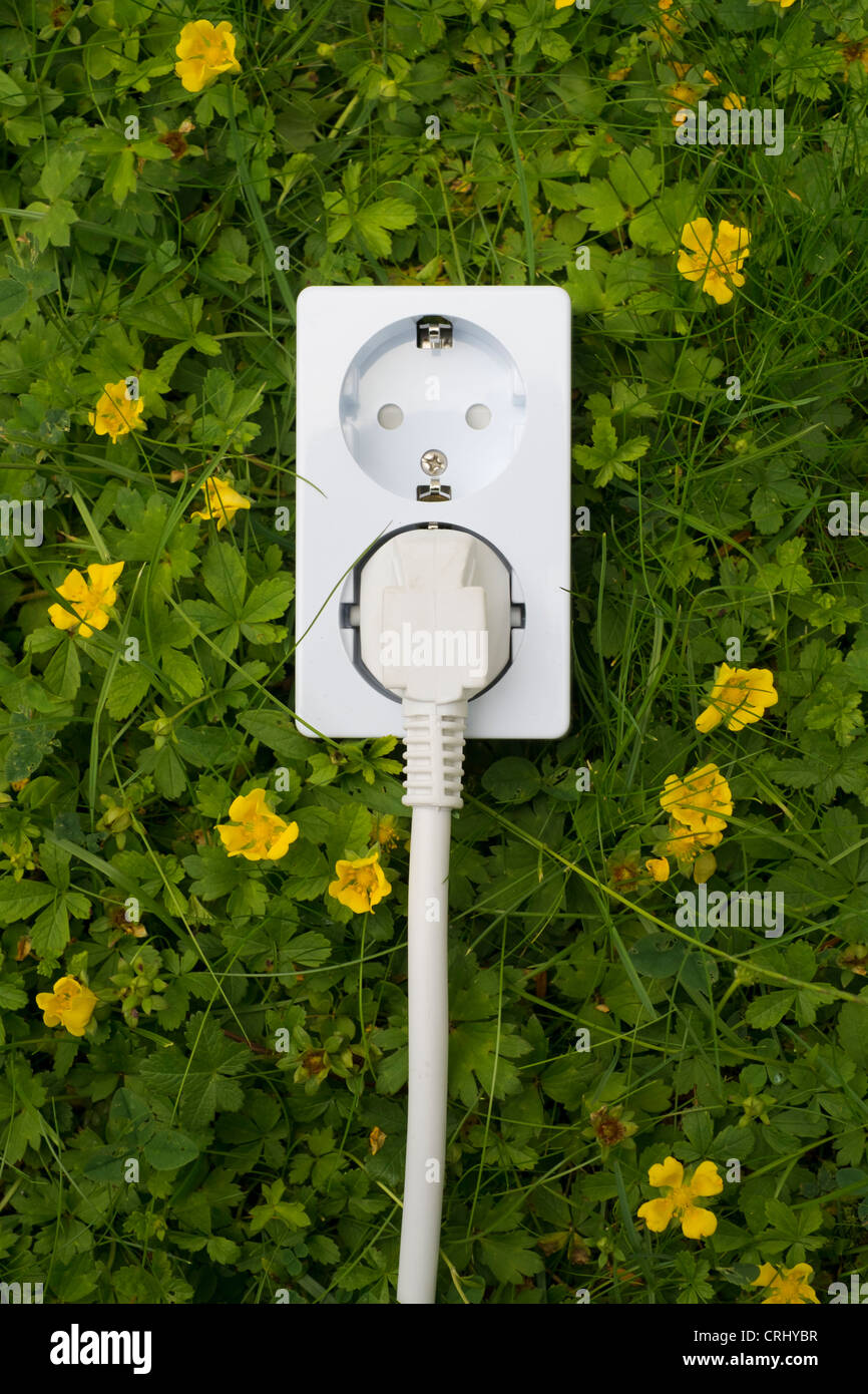 Steckdose auf Rasen grün und sauber Strom-Energieversorgung Stockfoto