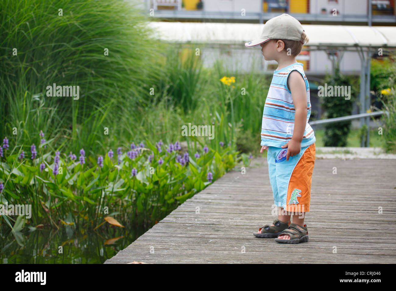 kleiner Junge mit Schirmmütze stehend auf einem Holzsteg auf einen Blick auf das Wasser Gartenteich Stockfoto