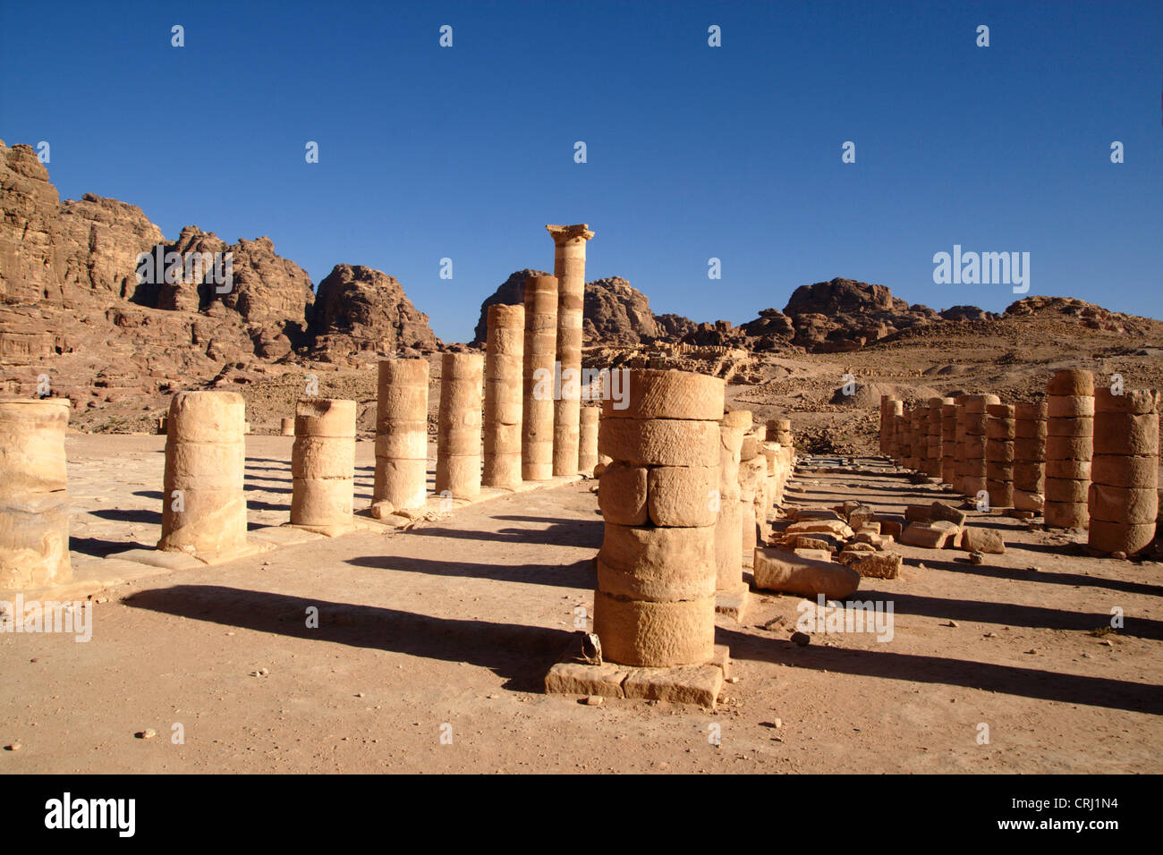 Reihen von Säulen des großen Tempels des historischen Felsens schneiden Stadt Petra, Jordanien, Petra Stockfoto