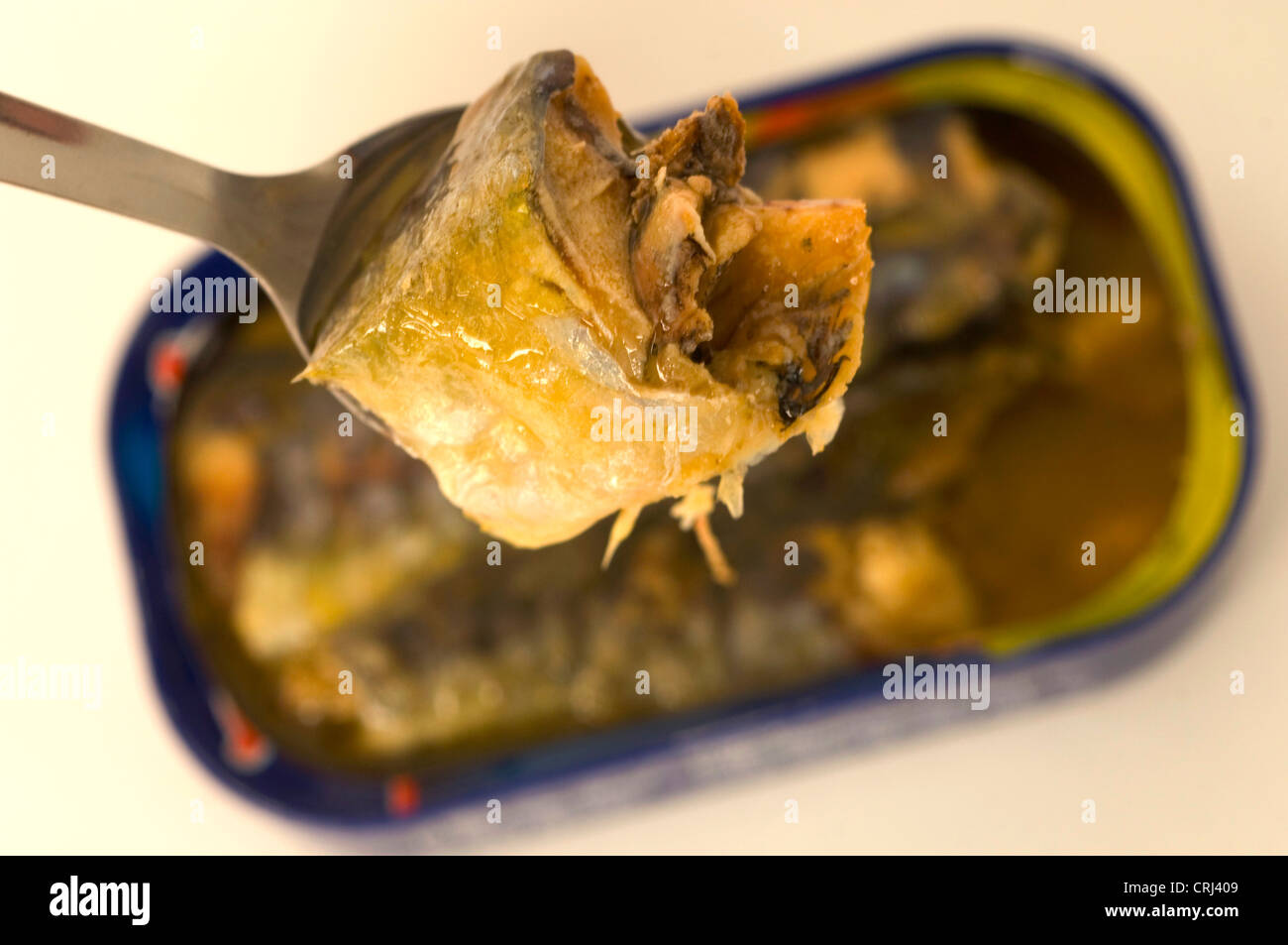 Kann aus der Dose Fischverzehr Nahrung Fettsäuren Fischfutter Sachen Lebensmittel Öl Omega 3 Omega-3 Sardellen Sardinen handhabendem Sardinen Meer T Stockfoto