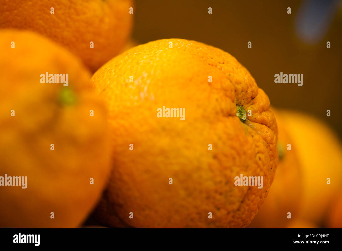 Essbare Lebensmittel Lebensmittel Lebensmittel Lebensmittel Obst Limonoide viele mehrere Ernährung nahrhafte Orange Orangen Vitamin C Stockfoto