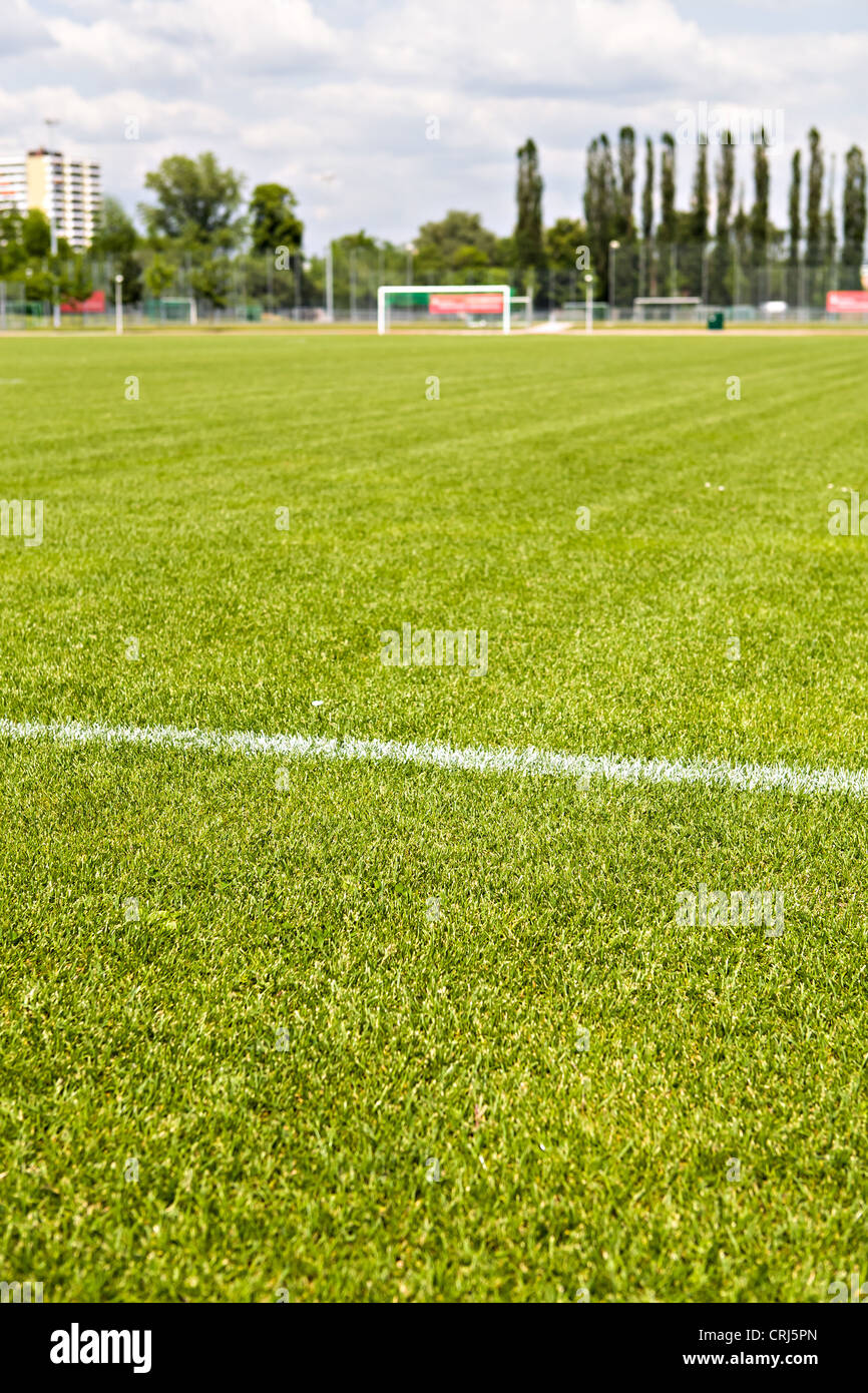 Close-up schließen ein Fußball-Feld-Oberfläche Stockfoto