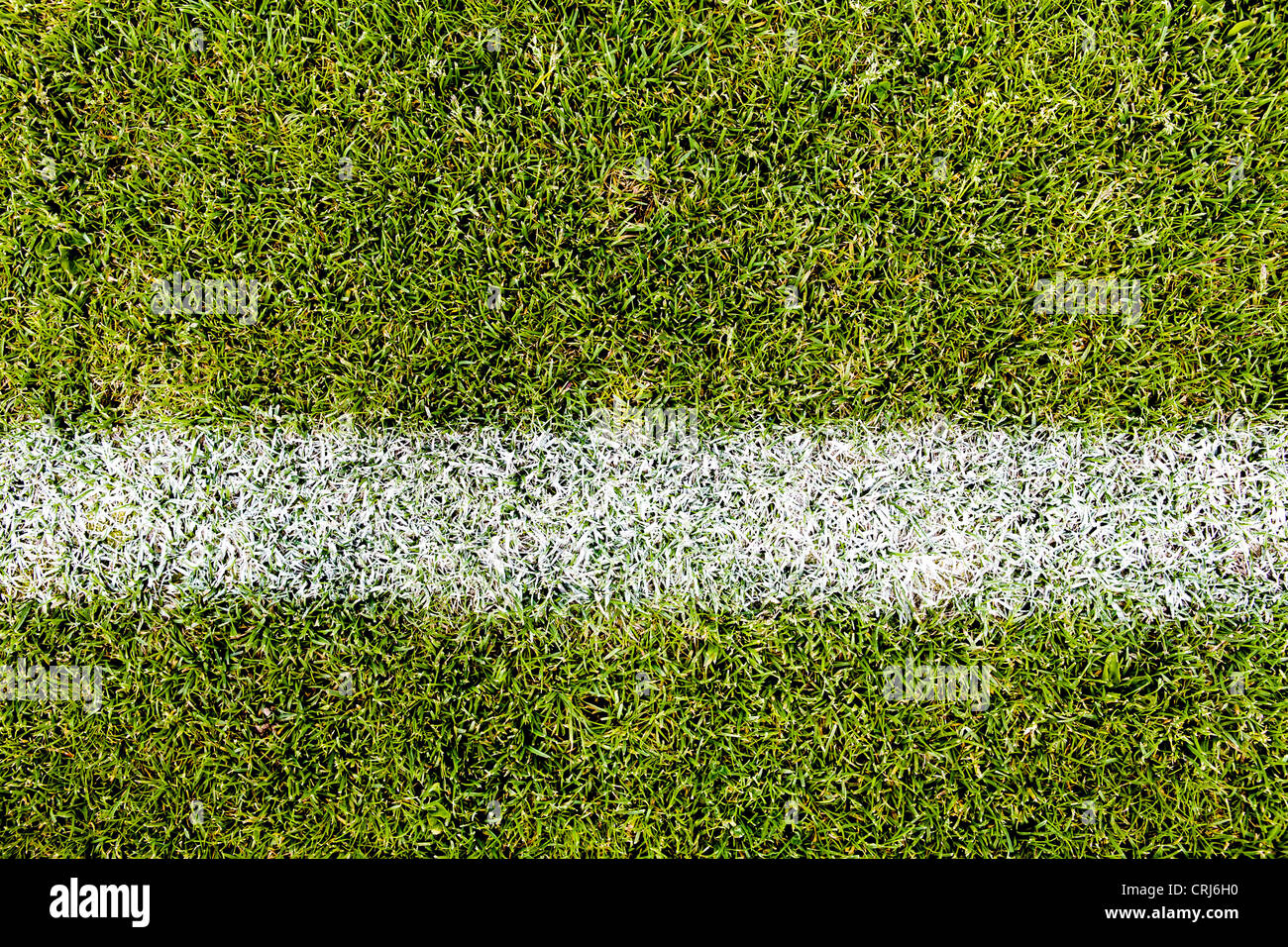 Close-up schließen ein Fußball-Feld-Oberfläche Stockfoto