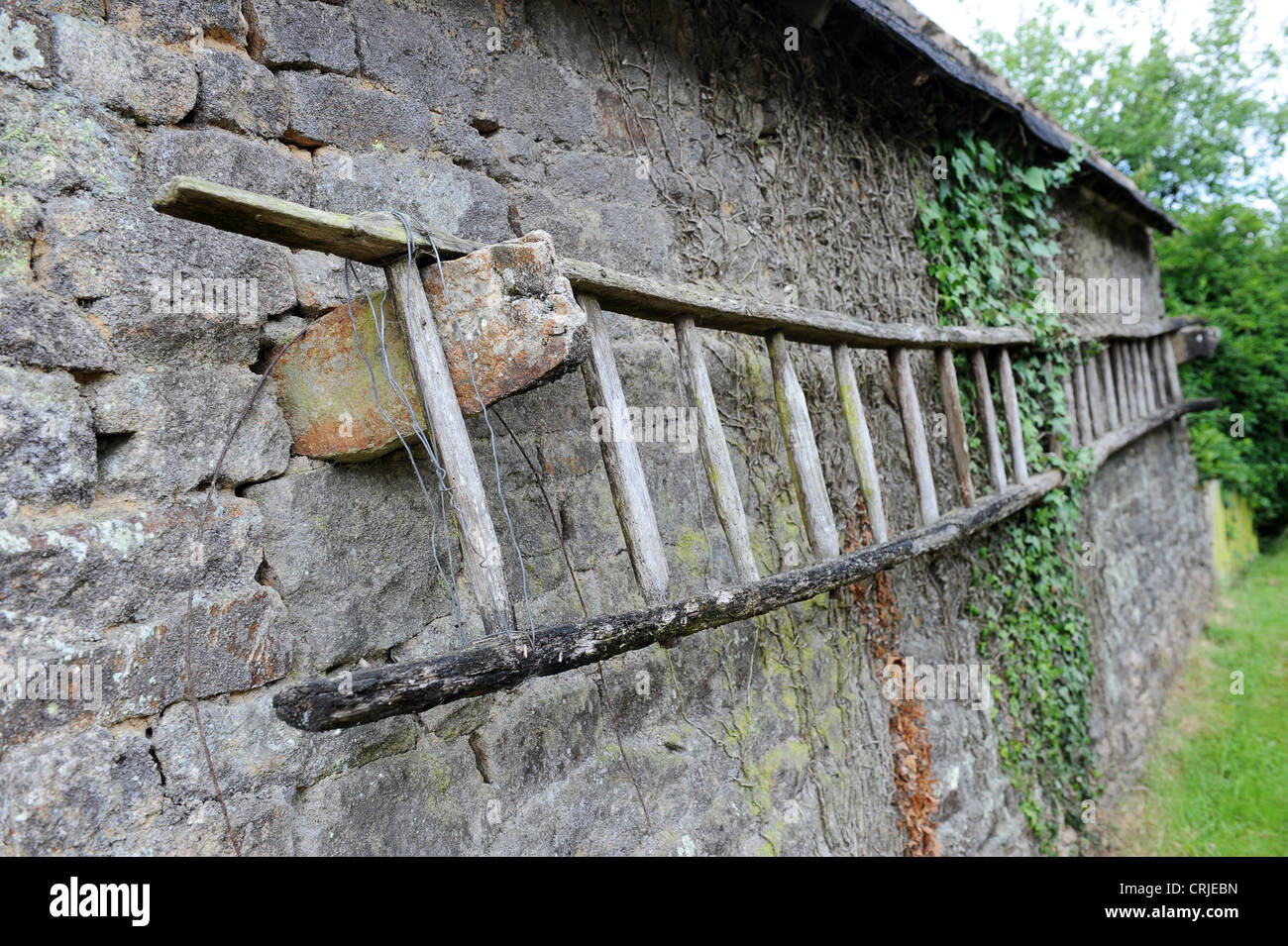 Alte Holzleitern auf Stein landwirtschaftliches Gebäude in Brittany France Stockfoto