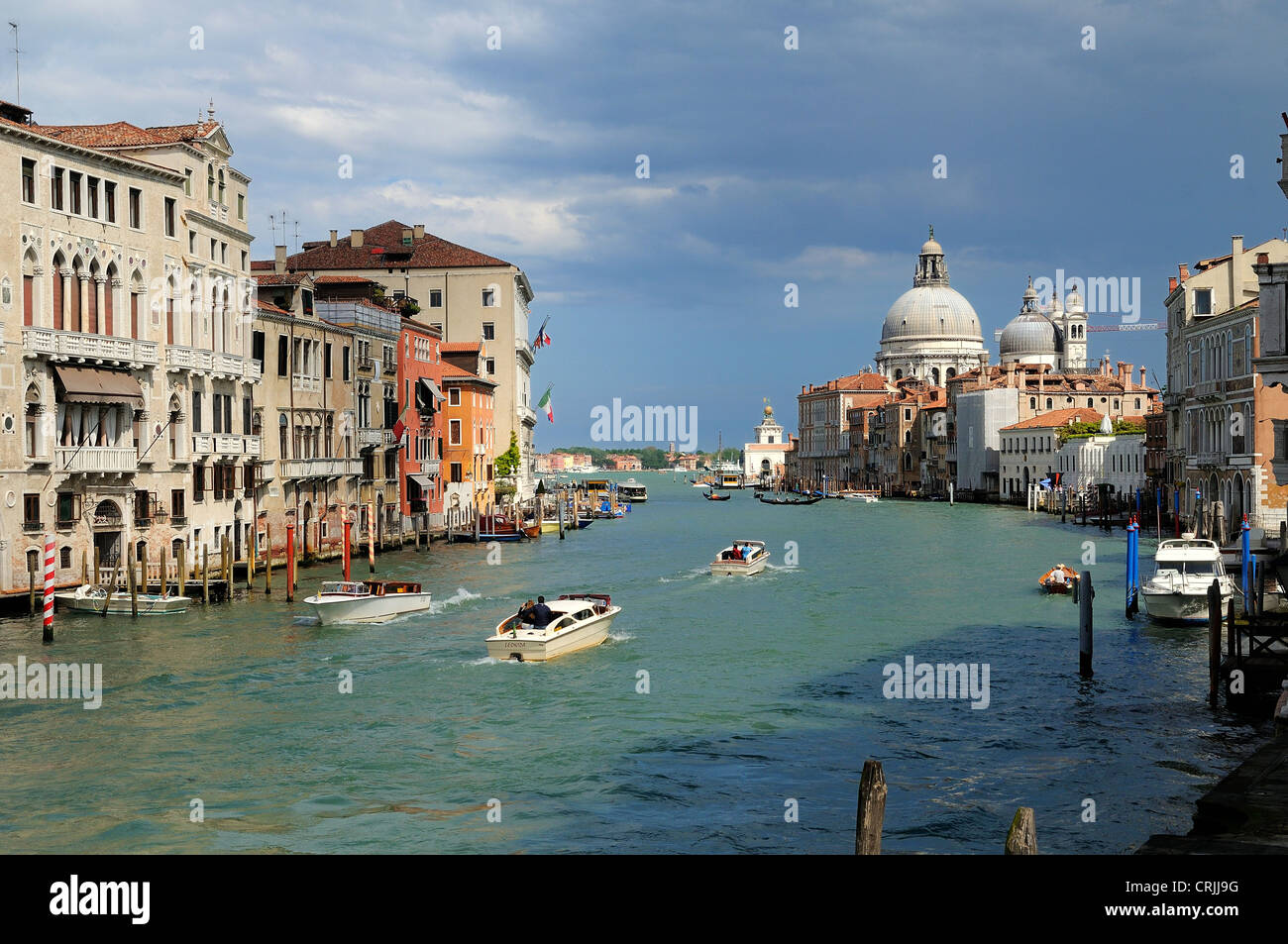 Kirche Santa Maria della Salute Canal Grande Venedig Italien Stockfoto