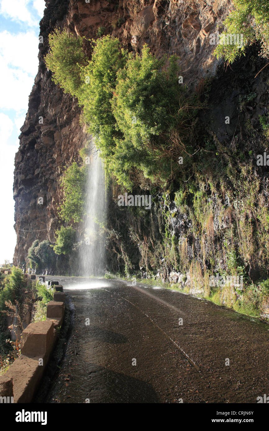 Wasserfall bei der alten Küstenstraße, auch genannt "Das Autowaschen Straße", Madeira, Portugal, Europa. Foto: Willy Matheisl Stockfoto