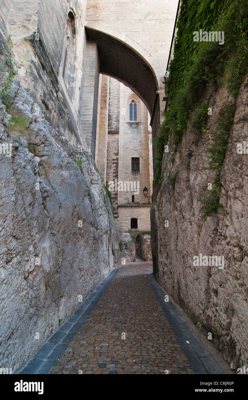 schmale Gasse am Palais des Papes, Frankreich, Provence-Alpes-C Te d ' Azur, Avignon Stockfoto