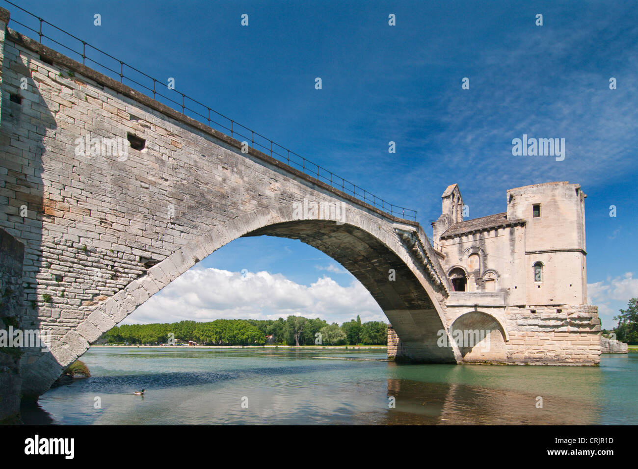 Fluss Rh Ne mit Pont St. B n Zet in Avignon, Frankreich, Provence-Alpes-C Te d ' Azur, Avignon Stockfoto