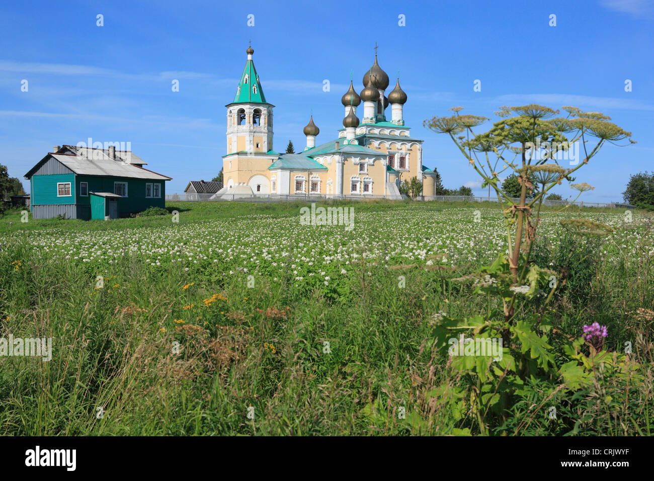 Christi Himmelfahrt Kirche (1686-1694), Russland, Region Archangelsk (Archangelsk), Verkhnie Matigory Stockfoto