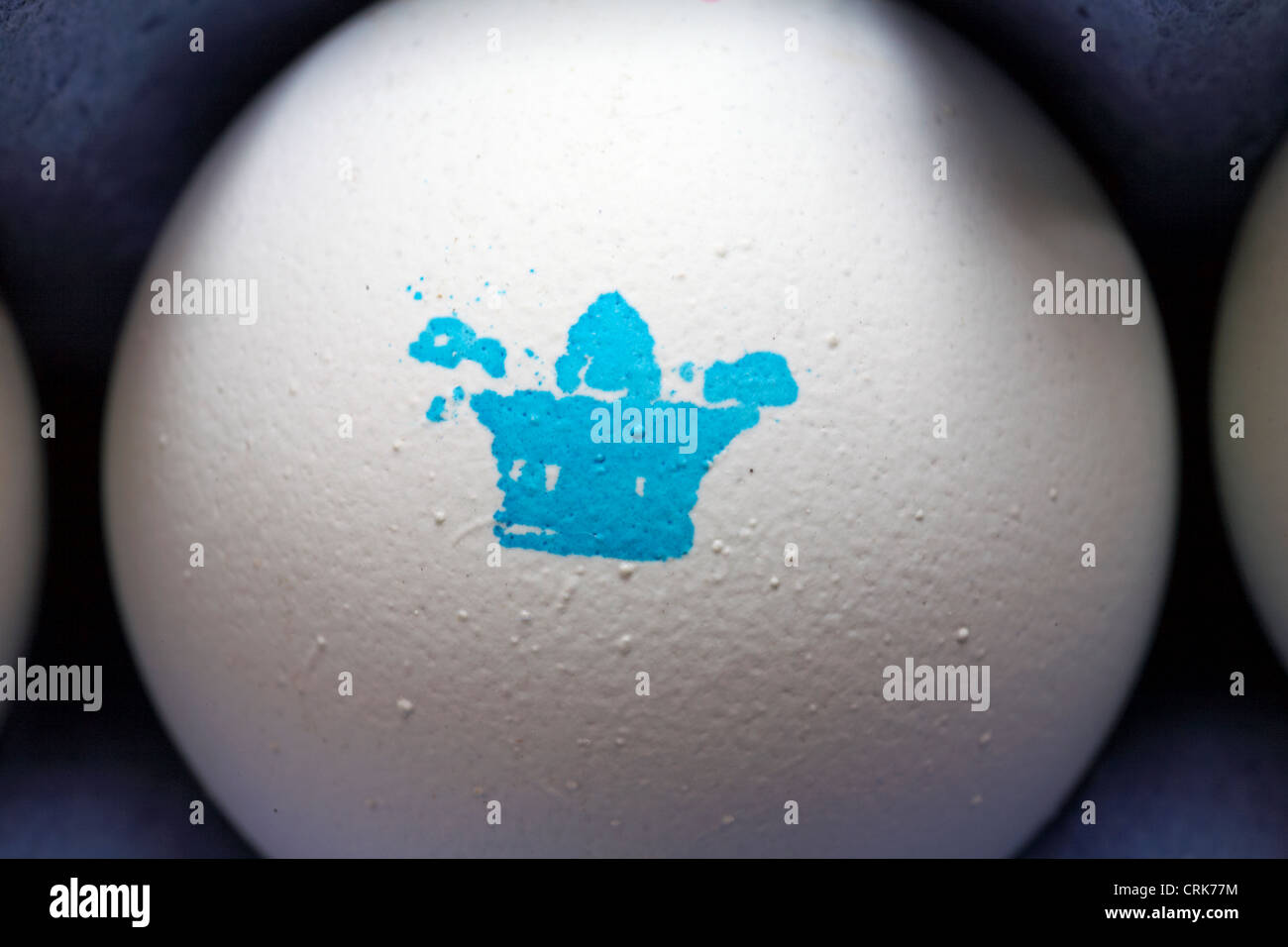 Nahaufnahme des blauen Kronenstempels auf dem Clarence-Hof-Ei in Eierkarton Stockfoto