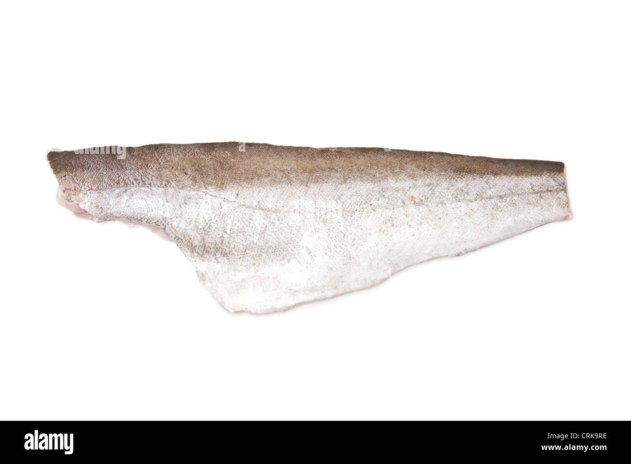 Filet vom Pollock (Pollachius Pollachius) Fischfilet isoliert auf einem weißen Studio-Hintergrund. Stockfoto