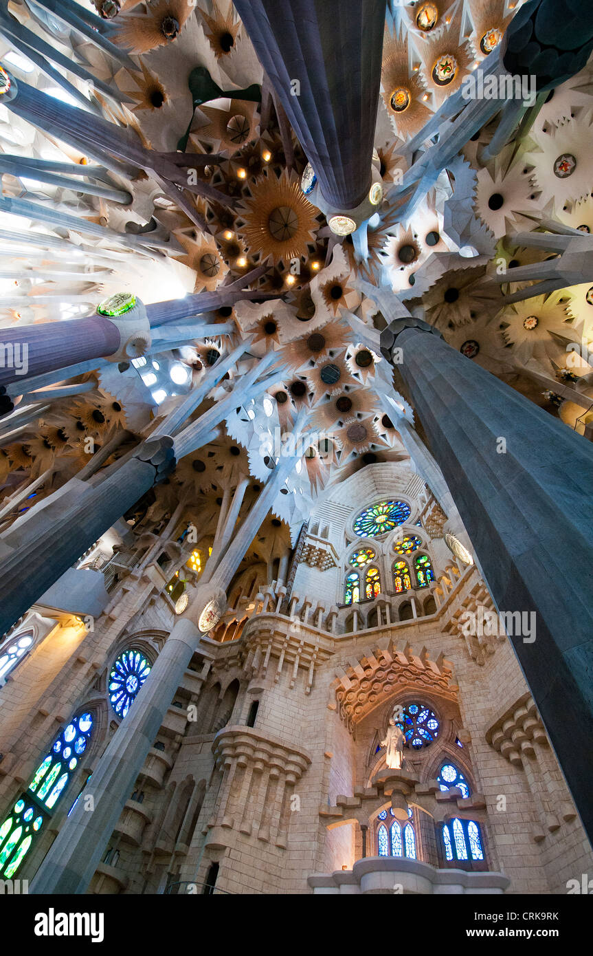 Innenansicht der Decke, Sagrada Família Kirche, Barcelona, Katalonien, Spanien Stockfoto