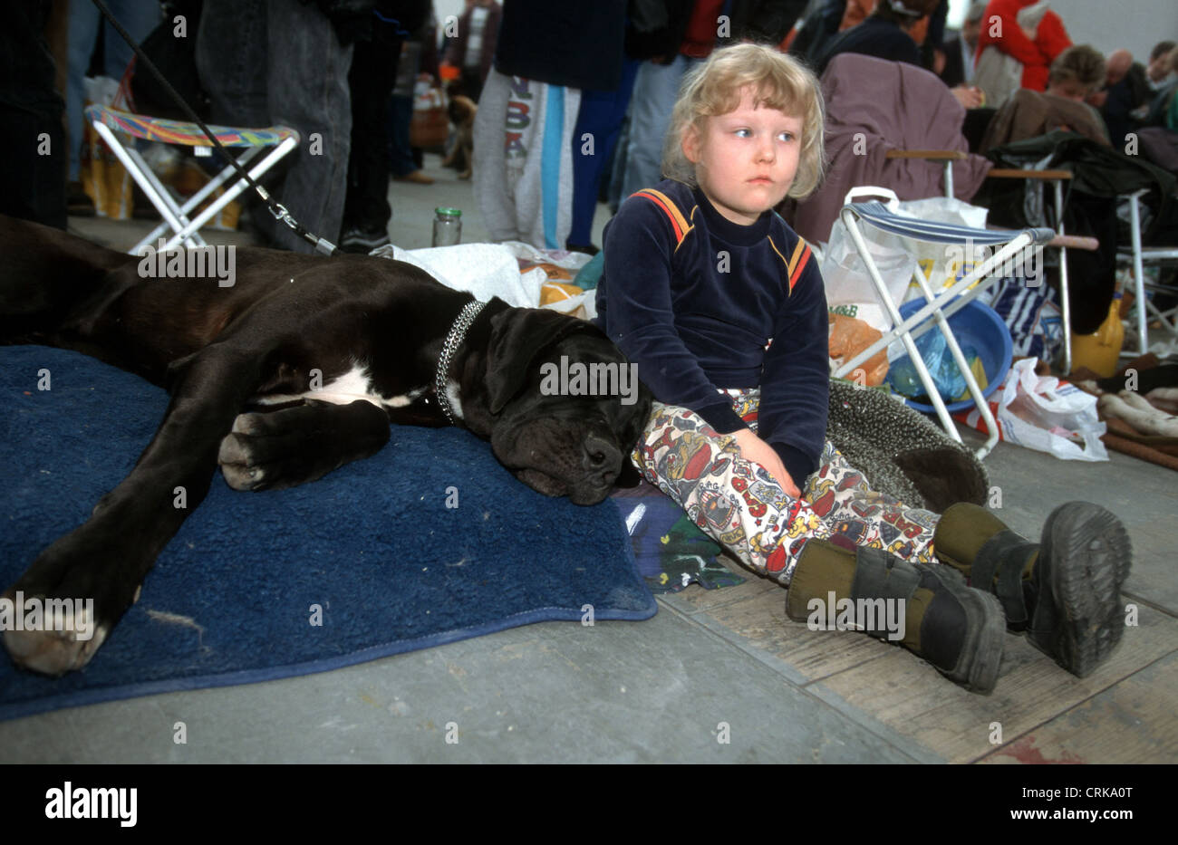 Kind sitzt eine Deutsche Dogge bei einer Hundeausstellung Stockfoto