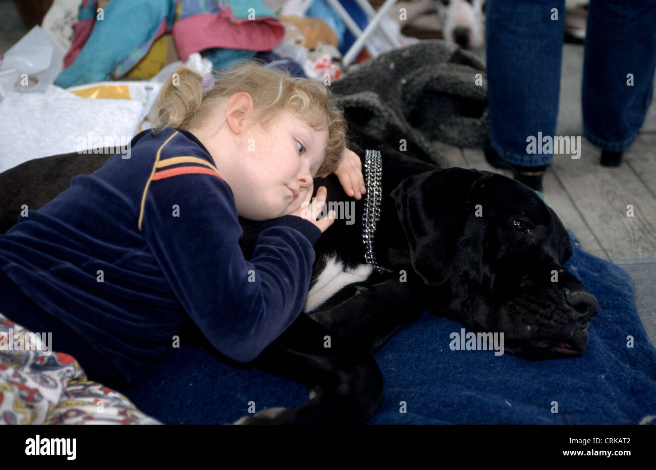 Neben einer Dogge auf einer Hundeausstellung des Kindes Stockfoto