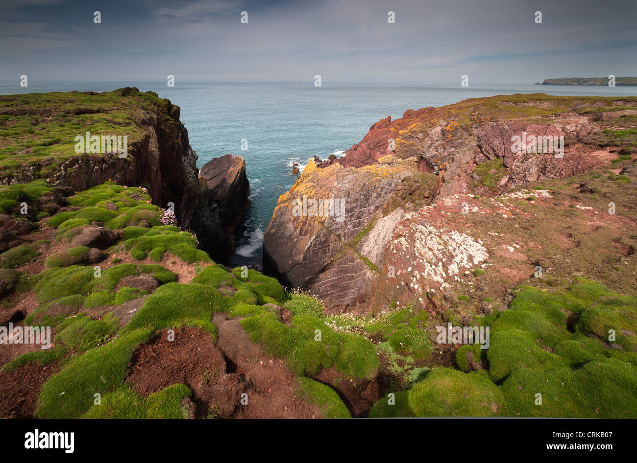 roter Sandstein felsige Bucht Skokholm Insel Stockfoto